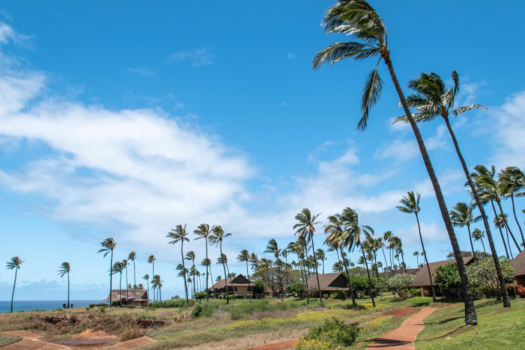 Kepuhi Beach Resort Maunaloa Szoba fotó